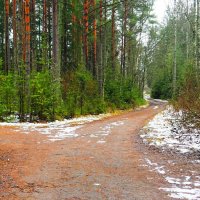 У развилки дорог (правая дорога на берег Днепра) :: Милешкин Владимир Алексеевич 