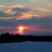 Акварель холодного заката. :: nadyasilyuk Вознюк