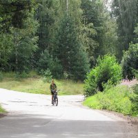 Ах, лето... :: Александр Ильчевский 