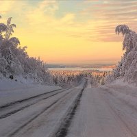 Дорога в зиму... :: Владимир Чикота 