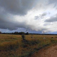 Тучность в Тверской области :: svk *