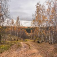 Палитра октября... :: Владимир Жданов