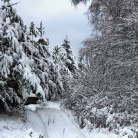 Последние,осенние деньки. :: Маргарита ( Марта ) Дрожжина