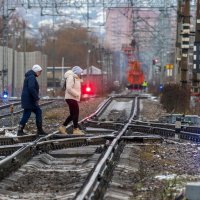 Полоса препятствий. :: Анатолий. Chesnavik.