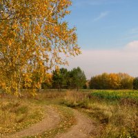 Осенний блюз. :: nadyasilyuk Вознюк