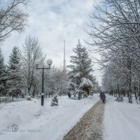 Зима в городском парке Южный :: Игорь Сарапулов