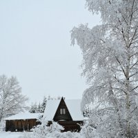 Зима в деревне :: Виктория Шажко 