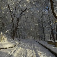 Свет и тени...... :: Юрий Цыплятников