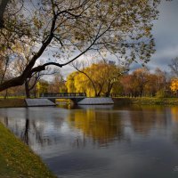 "Осень на старых прудах"© :: Владимир Макаров