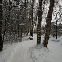 Сезон нецветной фотографии :: Андрей Лукьянов