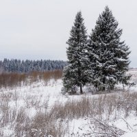 Подмосковные Пейзажи :: юрий поляков