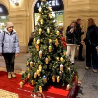 Ежегодное «дефиле» ёлочек. :: Татьяна Помогалова