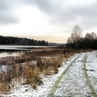 Начало зимы на Смоленщине. :: Милешкин Владимир Алексеевич 