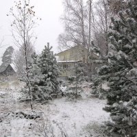 Первый снег :: Александр Ильчевский 