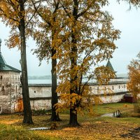 Осень :: Александр Силинский