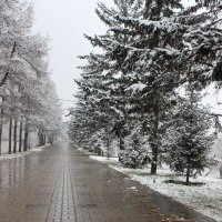 Первый снег :: Евгений 
