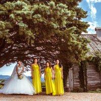 Невеста и ее подружки :: Chris Gayd