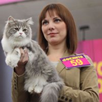 На выставке кошек в Минске. :: Nonna 