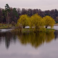 Бабаевский пруд :: Яков Реймер