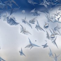 Снежные птицы :: nakip1 