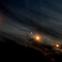Ночное небо :: Вика Курилова