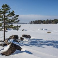 Март на  Финском заливе :: Evgeniy Kalinin 