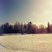 Мороз и солнце... :: NastasiaOka 