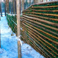 ...увы, великая российская стена :: Сергей Андрейчук