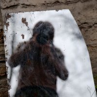 Отражение замёрзшего фотографа(т.е. моё)) в случайном зеркале на Петроградке))) :: Елена Разумилова