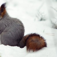 не помещается :: Олег Петрушов