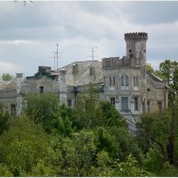 В зарослях :: Галина (Stela) Кожемяченко