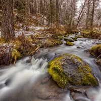 Картинки ноября :: Валентина Кобзева