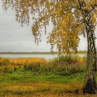 В осеннем поклоне :: Олег Сонин