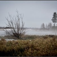 Холодное дыхание ноября :: Василий Хорошев