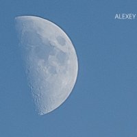 Moon :: Олексій Бачурський