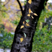 Колыхаются листья, звенят на ветру... :: Полина Воркачева