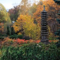Японский сад :: Валентина Риджин