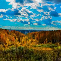 Осень. :: Дмитрий Багмет