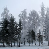 Зима :: Irina 