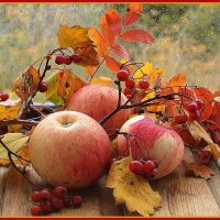 Осенние яблоки :: Nat-ik 