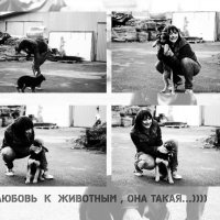 любовь к животным ...она такая))) :: Ника Винницкая