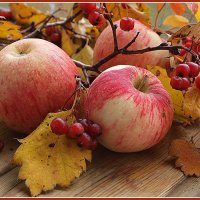 Осенние яблоки :: Nat-ik 