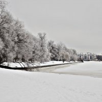 Зима :: Настасья Шебеко