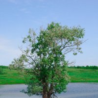 Вода, вода, кругом вода... :: Фарит 