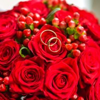 Las rosas :: Наталия Ботвиньева