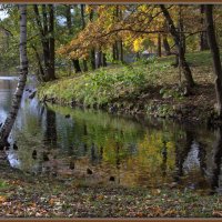 Осенние зарисовки - 7 :: Владимир Иванов