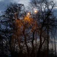 Ночные фонари :: Богдан Петренко