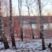 Розовый отблеск заката. :: Наталья Юрова