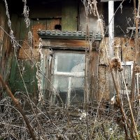Живопись старого окна. :: Надежда Павлючкова