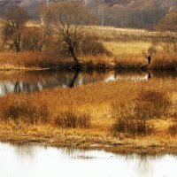 *** :: Евгений Барзенков